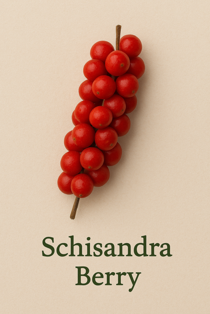 Top 5 Adaptogens for Stress Relief Schisandra Berry Adaptogens